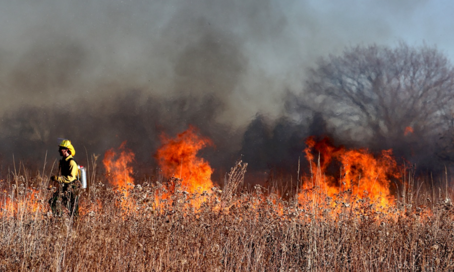Smoke has overtaken parts of the Northeastern United States due to Canadian wildfires.